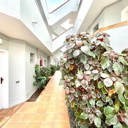 Nice With Pool View, Wifi, Near The Beach,tenerife South